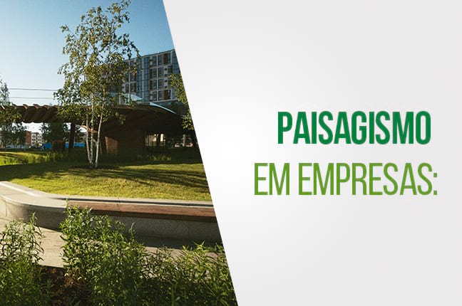 Área externa com paisagismo em empresa, valorizando espaços corporativos com arborização e áreas verdes.