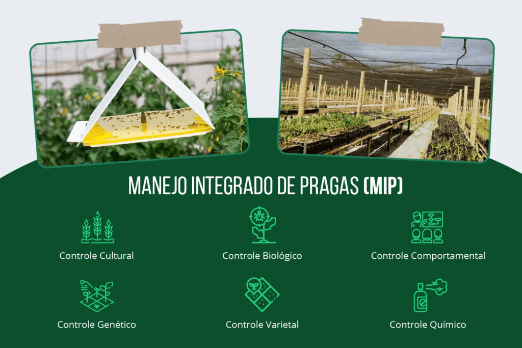 Exemplos de manejo e controle integrado de pragas em agricultura