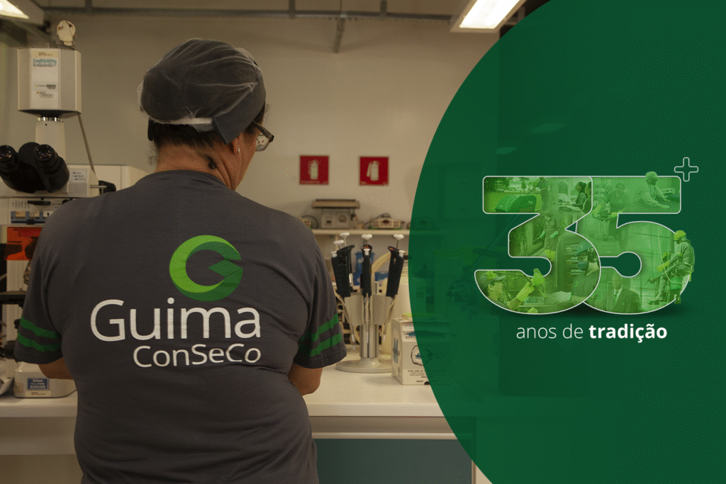 Como a gestão de facilities apoia grandes operações 2 img3 - Como a gestão de facilities apoia grandes operações